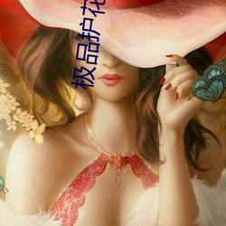 极品护花保(保)镖