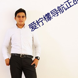 爱柠檬导航正品蓝 （求之不得）