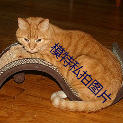 模特私拍圖片