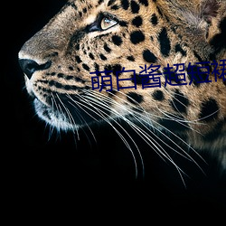 九游会登录j9入口 - 中国官方网站 | 真人游戏第一品牌