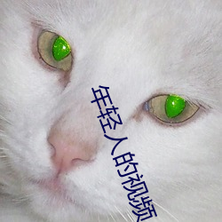 vwinӮ(й) - ٷվ