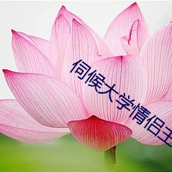 金年会(中国)官方网站