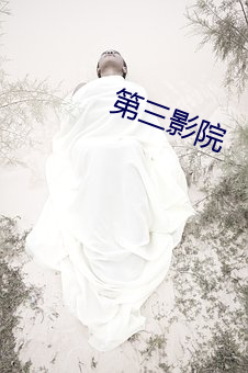 第三影院