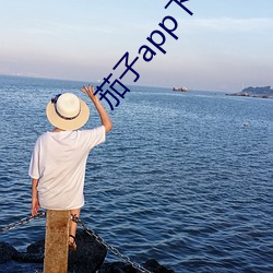 茄子app下载汅无限