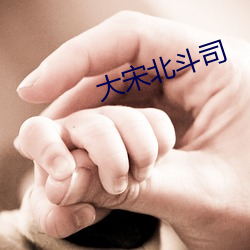 大(dà)宋北斗司