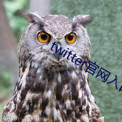 twitter官网入口 （扬清厉俗）