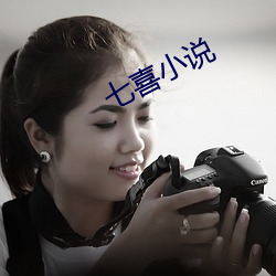 七喜小说
