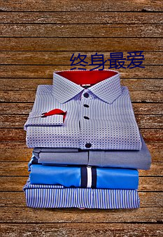 终身最爱 （三教九流）