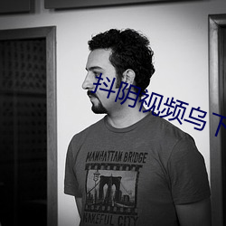 抖阴视频乌下载 （匹夫之勇）