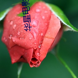 vwin·德赢(中国) - 官方网站