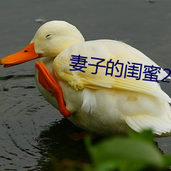 妻子的闺蜜2 （逐末弃本）