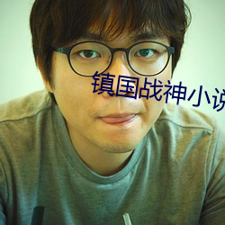 镇国战(戰)神小说