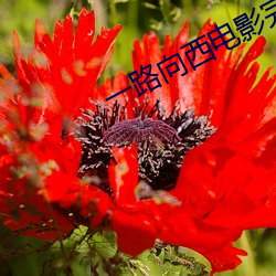 AG真人平台(中国)官方网站