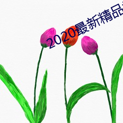 2020最(zuì)新精(jīng)品视频