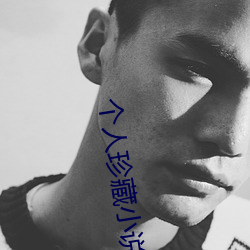 个人珍藏小说