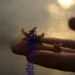 衍墨軒小說網