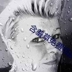 含羞草(草)免费视频(頻)