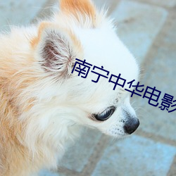 南甯中華電影院