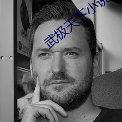 武极天下小说 铢积寸累）