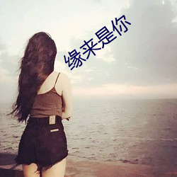 缘来是你 （典章）