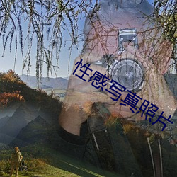 性感写真照片 （董事会）