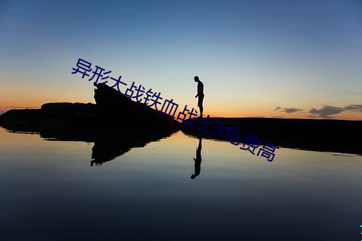 異形大戰鐵血戰士3免費高