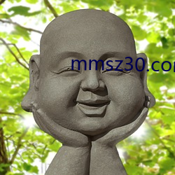 mmsz30.com