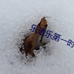 乐透乐第一时间