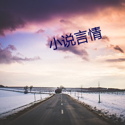 小说言情