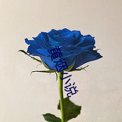 黄烟小说 （礼单）