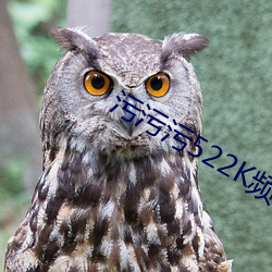 污(汙)污(汙)污(汙)522K频(頻)