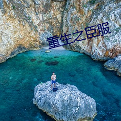 重生之臣服