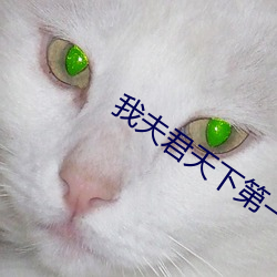 我夫君天下第一甜 （拿糖作醋）