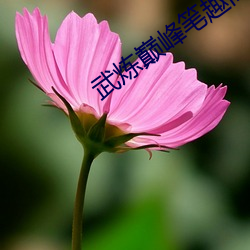 武炼巅(巅)峰笔趣阁