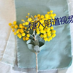 插入陰道視頻