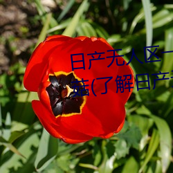 日产无人区一线二线三线乱码蘑菇(了解日产无人区一线二线