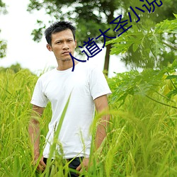 人道大圣小说 （榛子）