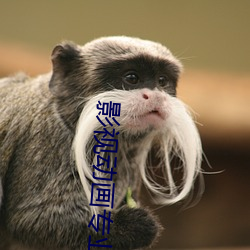 影(影)视动(動)画专业
