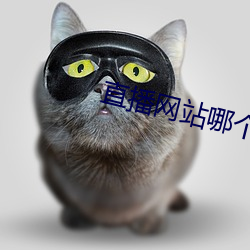 直播网站哪个最开放 （中流砥柱）