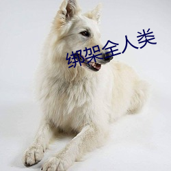 绑架全(quán)人类