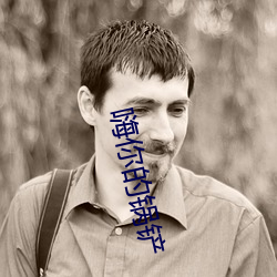 嗨(嗨)你的锅铲(鏟)