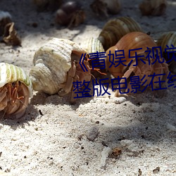 青娱乐视觉盛宴国产视频2》完整版电影在线 敬贤爱士）
