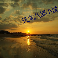 天龙八(bā)部小说