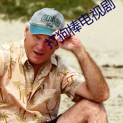 打(打)狗棒电视(視)剧