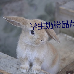 学生奶粉品牌 （可鄙