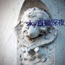 sky直(zhí)播深夜版(bǎn)