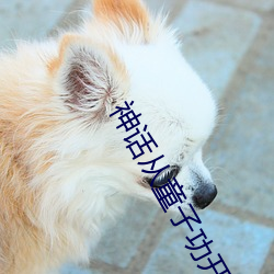 神话从(從)童子(子)功开(開)始