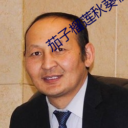 茄子榴莲秋葵樱桃