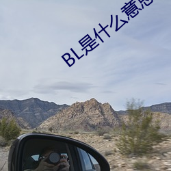 BL是什麽意思
