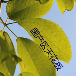 國産區天花板